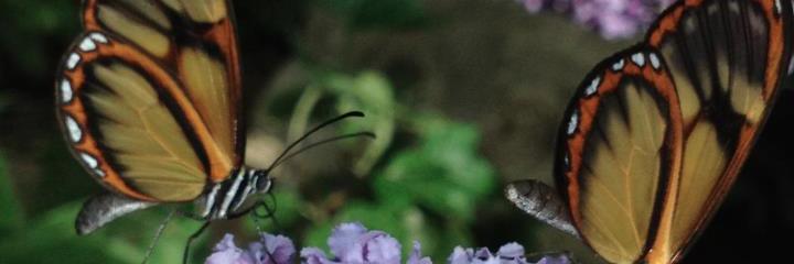 yepesduque's profile banner image