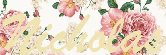 nick_sobel's profile banner image