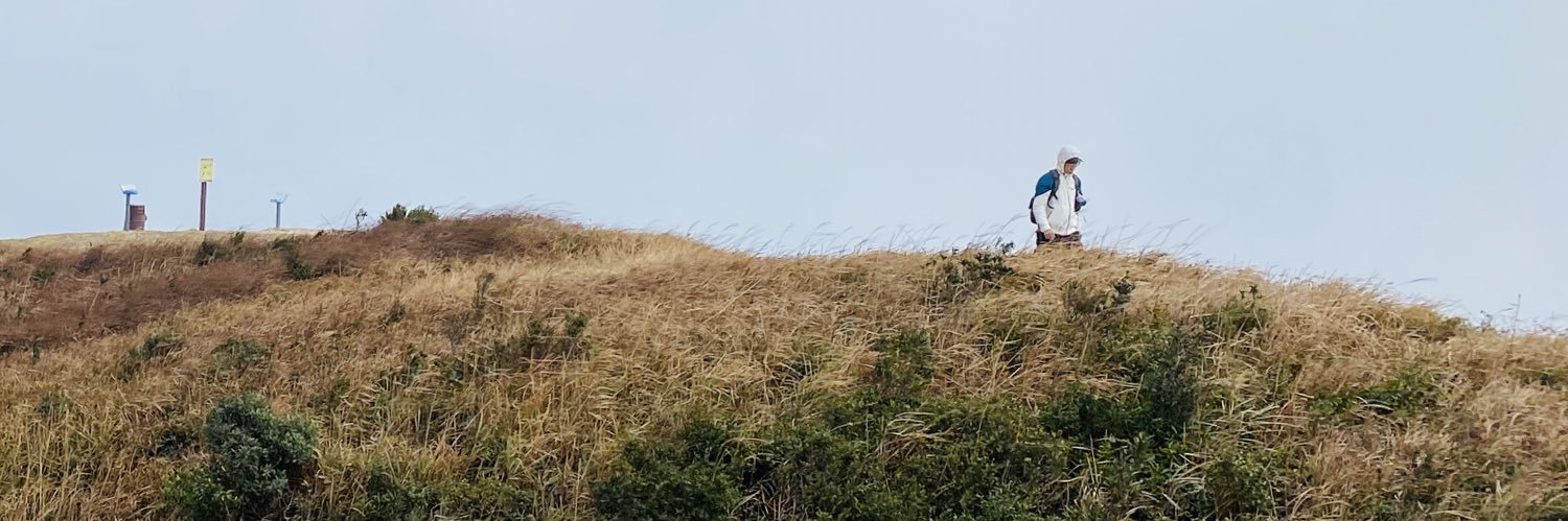 treeta7's profile banner image