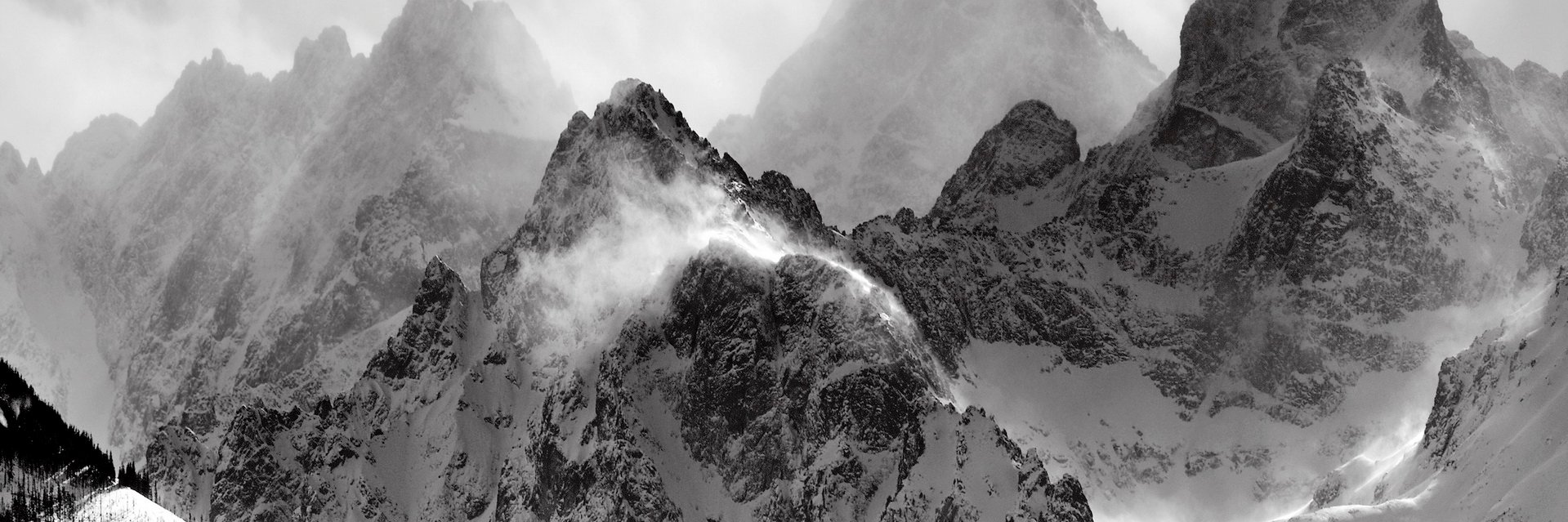evergrowthcap's profile banner image