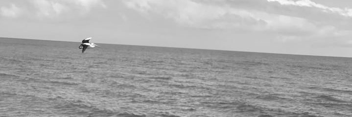 89knowles's profile banner image