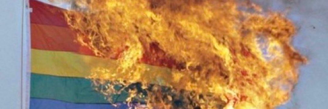 KamiBraV8's profile banner image