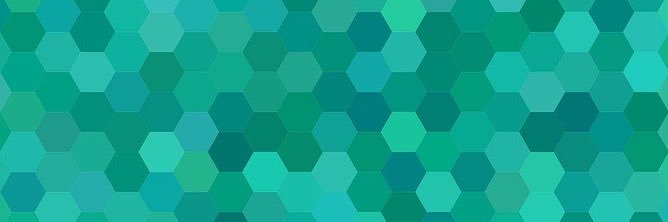 STEM School Pythons banner