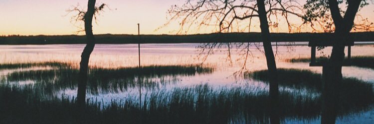 NatalieEtzel's profile banner image