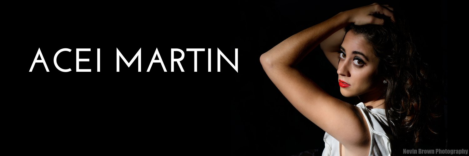 aceimartin's profile banner image