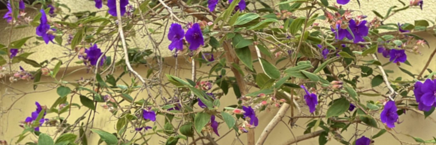 LoganRamirez9's profile banner image