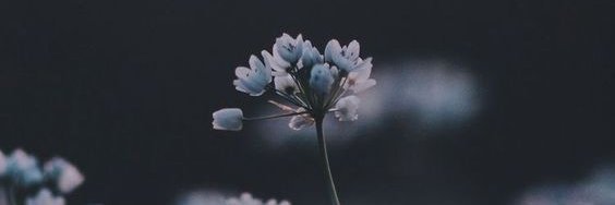 vishakaiyerr's profile banner image