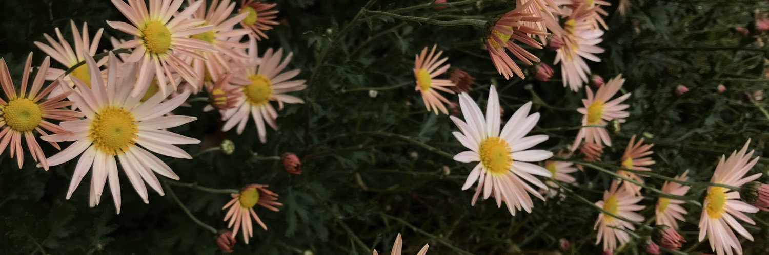 _cshaughnessy's profile banner image