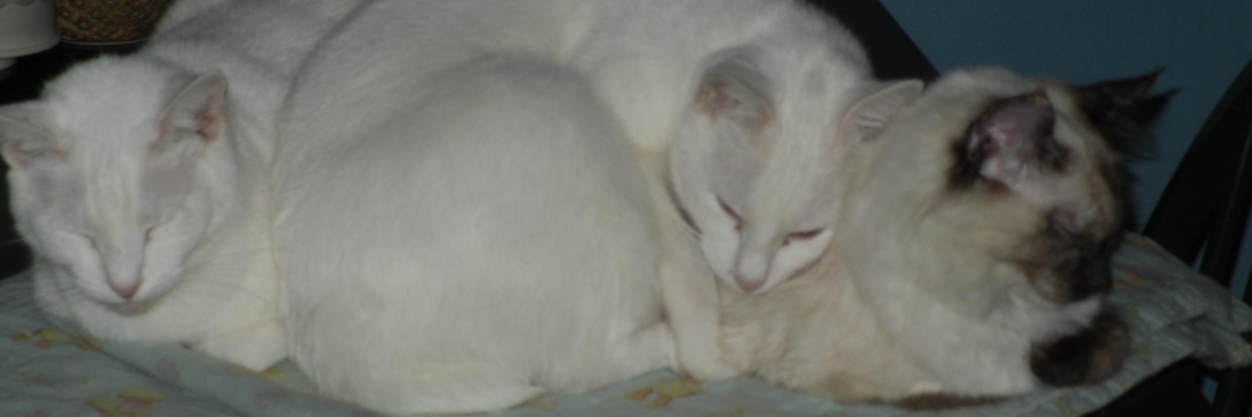 JoneLink's profile banner image