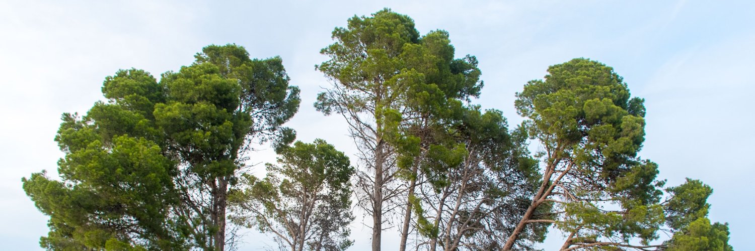 Juanillo Valiente banner