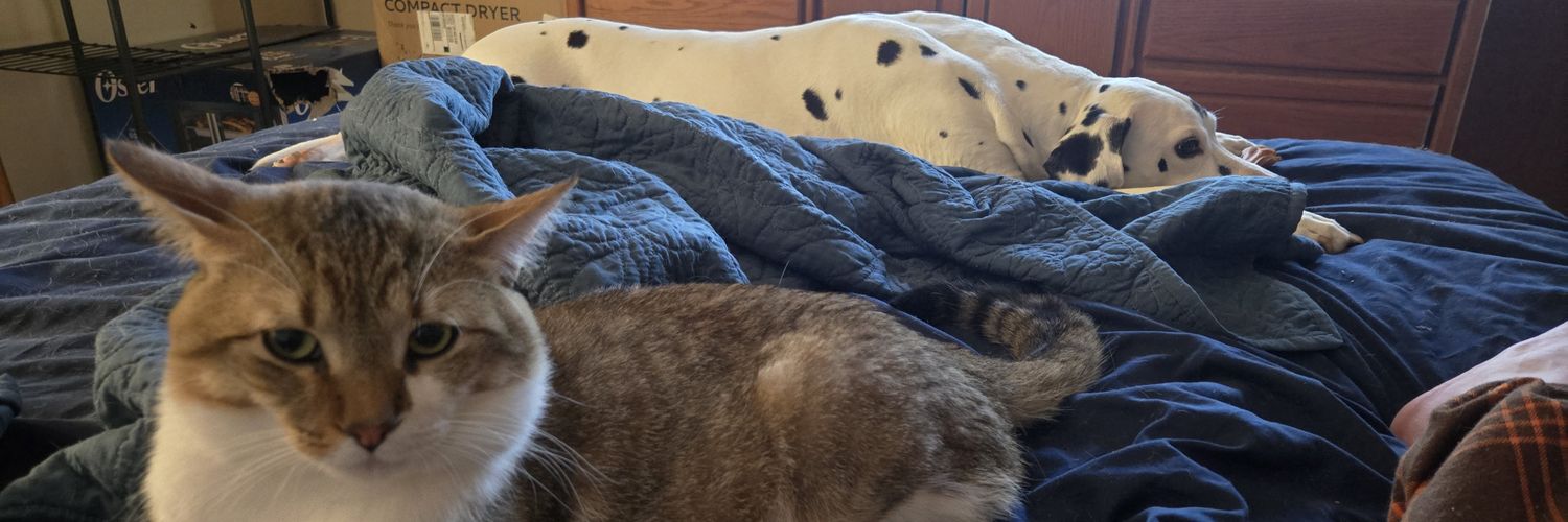 TheRickForReal's profile banner image