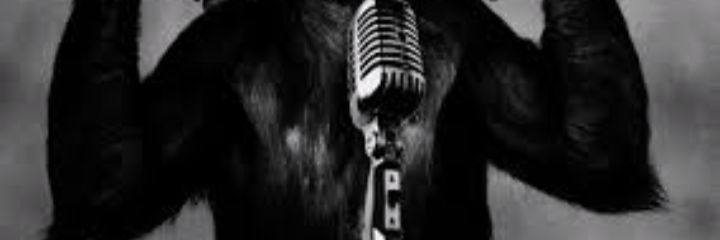 dmarc_83's profile banner image