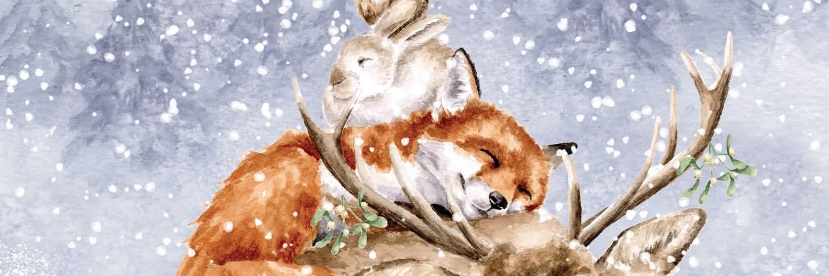 Colleen Hardy 🇮🇱 banner