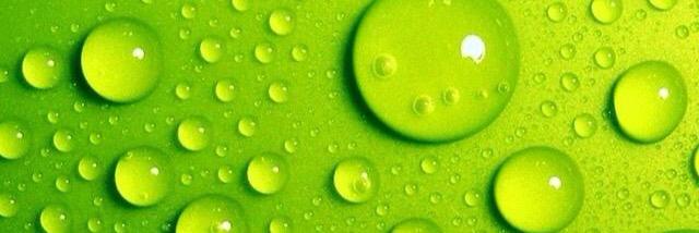 paul_cfy's profile banner image