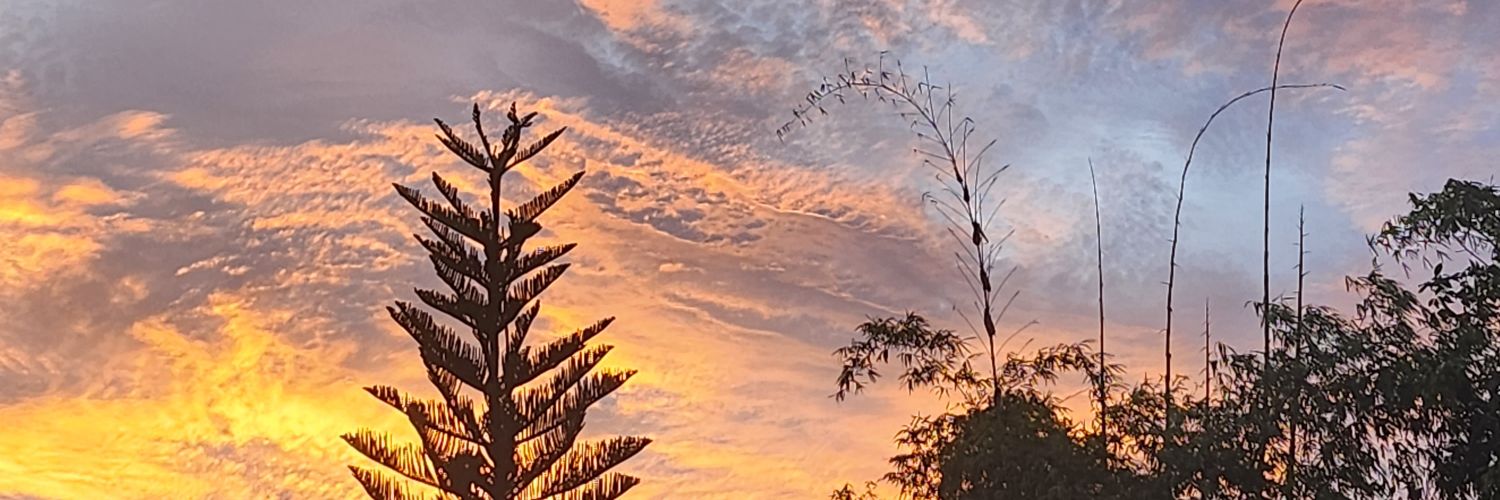 คาบิโอ๊ต banner