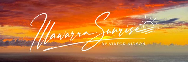 ViktorKidson Profile Banner