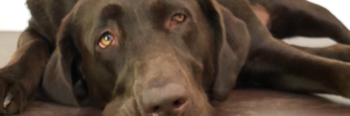 HOODW33's profile banner image