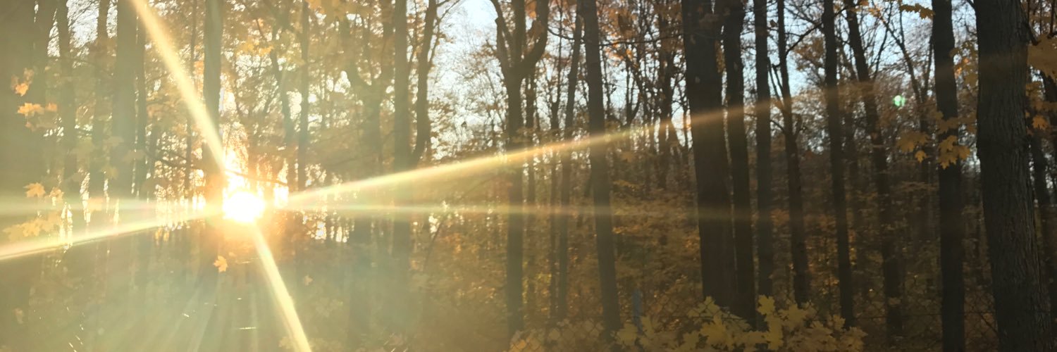 shelbyyywright's profile banner image