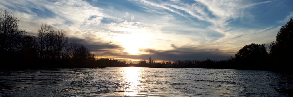 Alejandro Rost banner