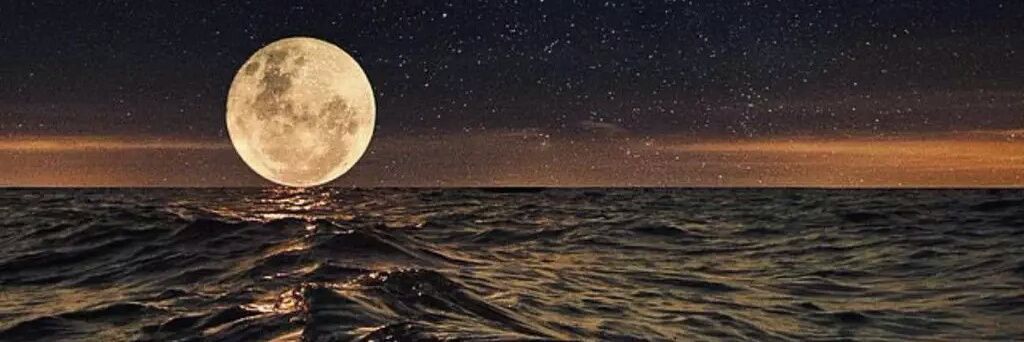 y61451's profile banner image