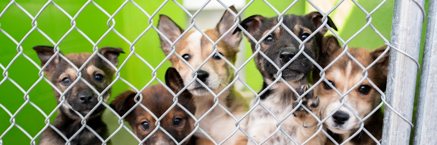 Humane Society So AZ banner