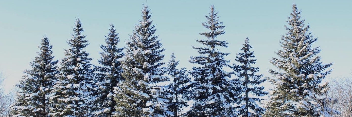 rafaelalonso's profile banner image