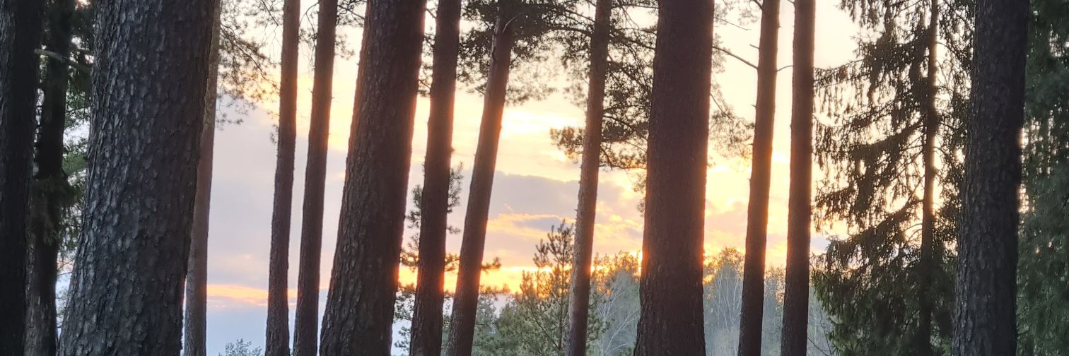 justbradfy's profile banner image