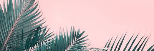 Karina Estrada banner