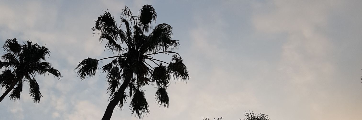 sepos's profile banner image