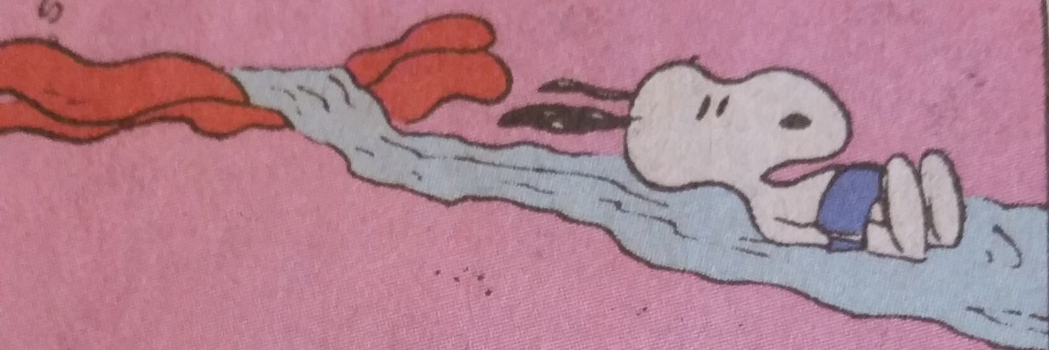 liveturtles77's profile banner image