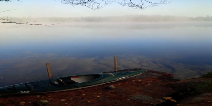 Christine Kuepfer banner