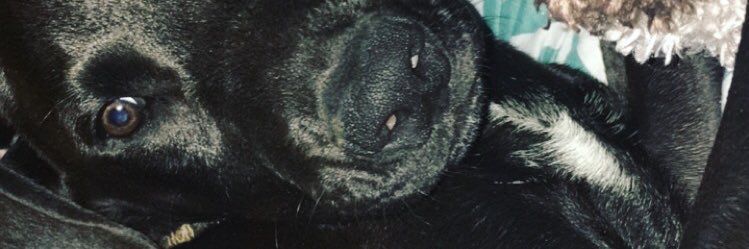 carson_louise11's profile banner image