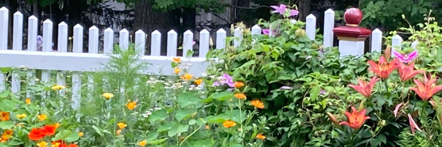 Christie Stephenson banner