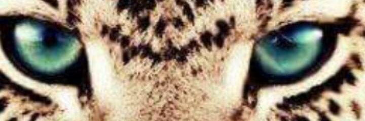 04manonn's profile banner image