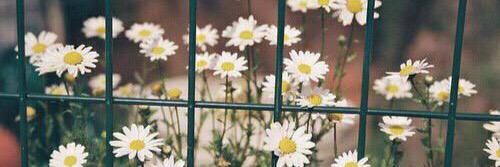 ___19921121_'s profile banner image