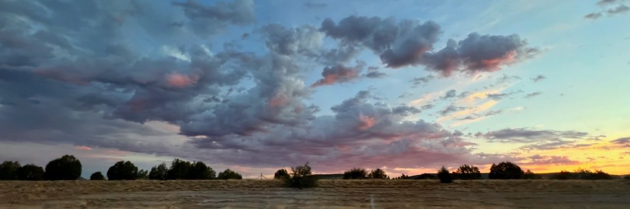 mariamrodriguez's profile banner image