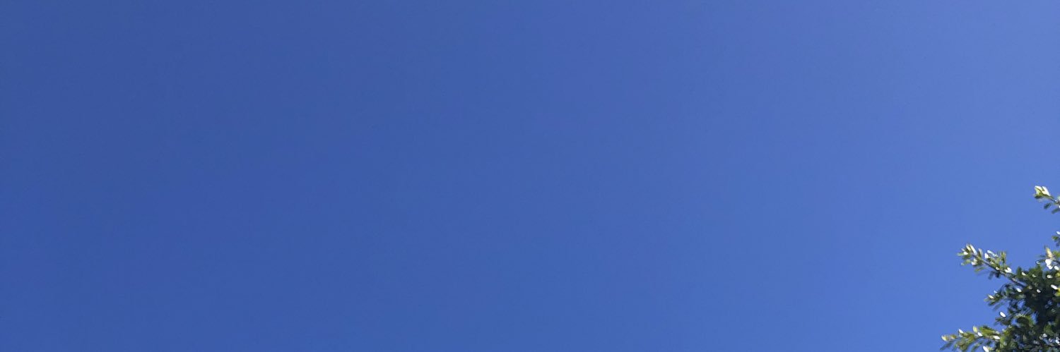 SarahSimoni17's profile banner image
