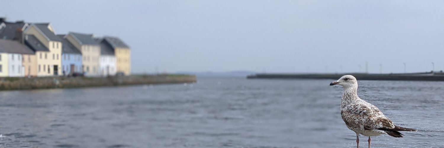 Pierce VanValkenburg banner