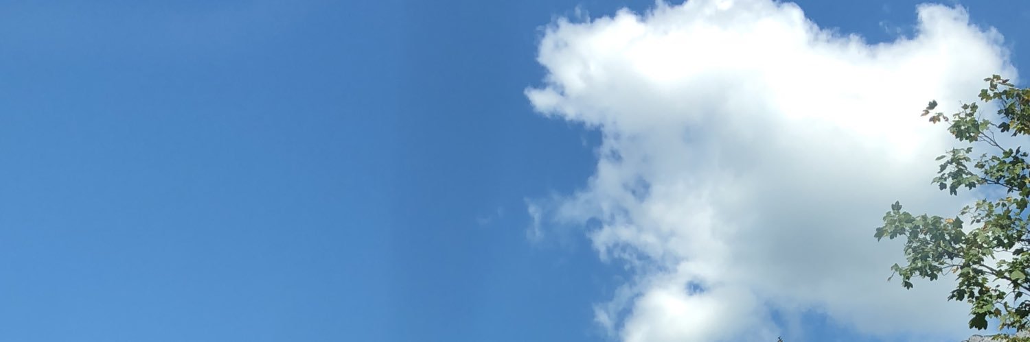 salkhyeli's profile banner image
