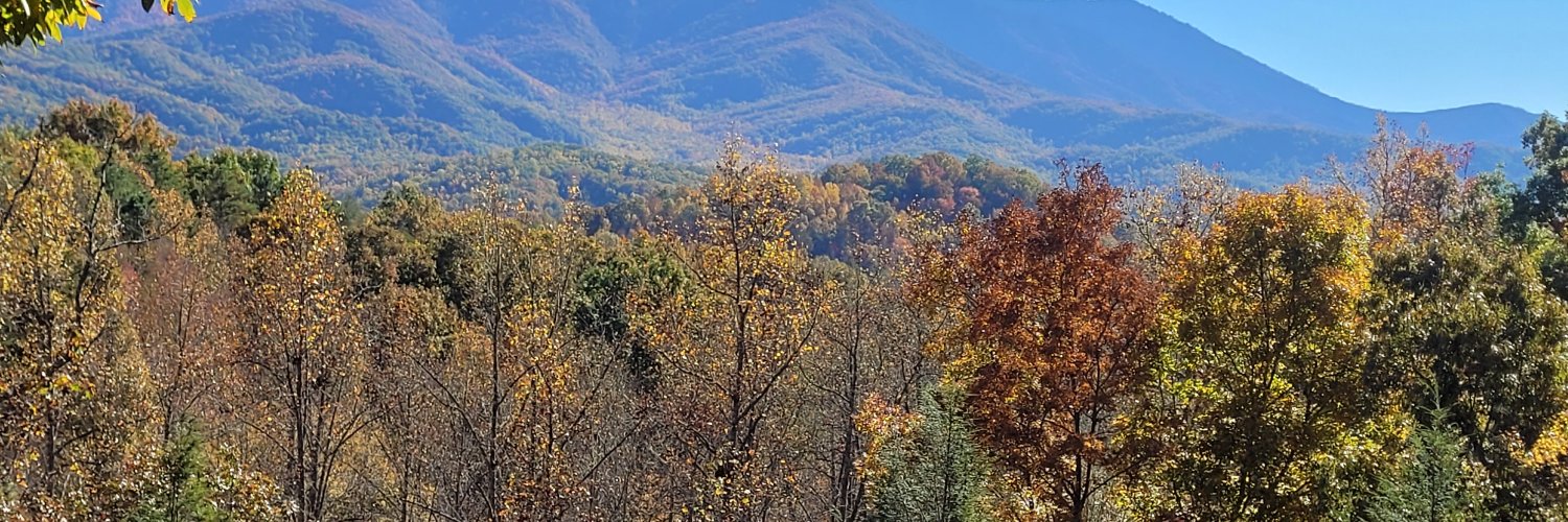 Lisa | Political Commentary banner