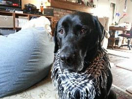 Thomas A Brown banner