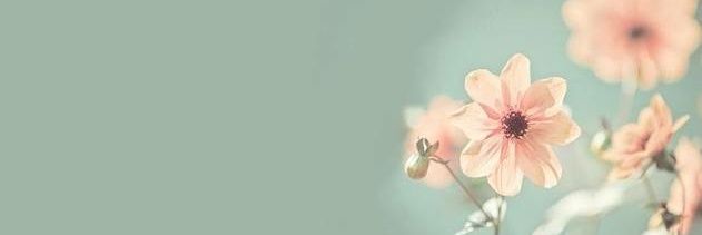 Karla #4T banner