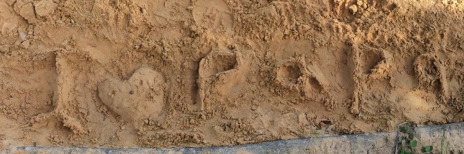 jrgptr's profile banner image