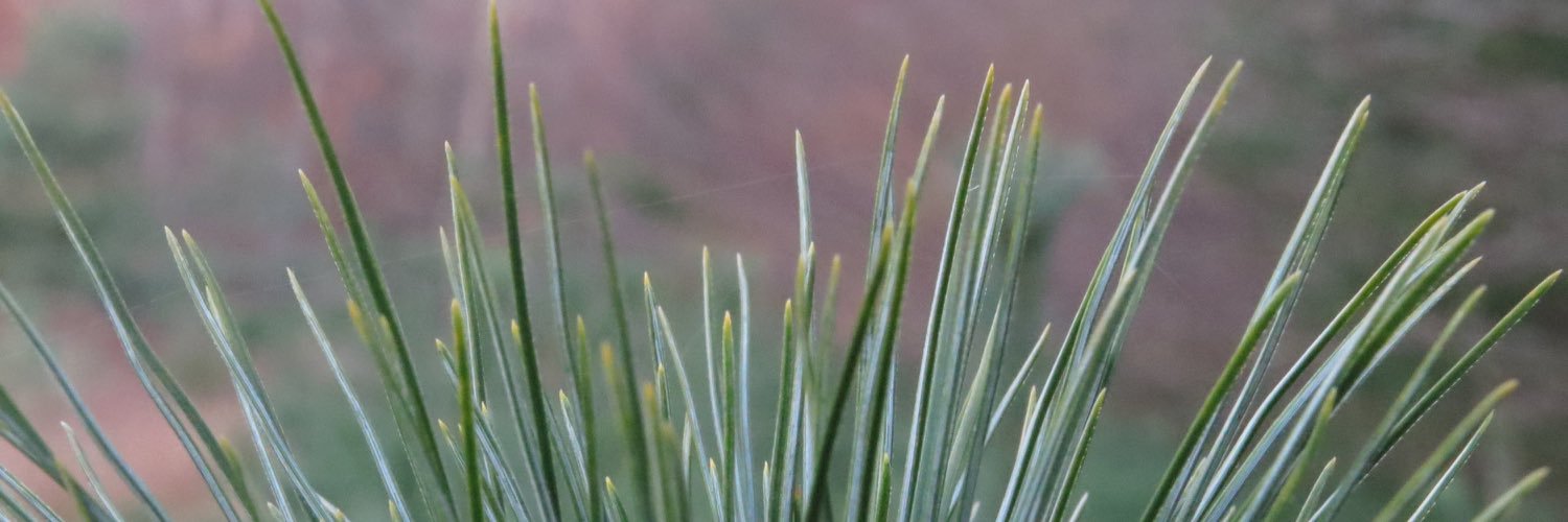 14CalvinClark's profile banner image