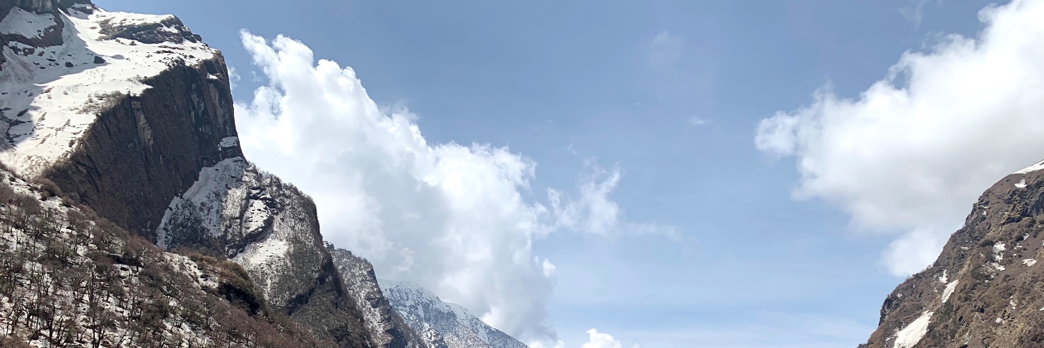 Serhii Vasylenko banner