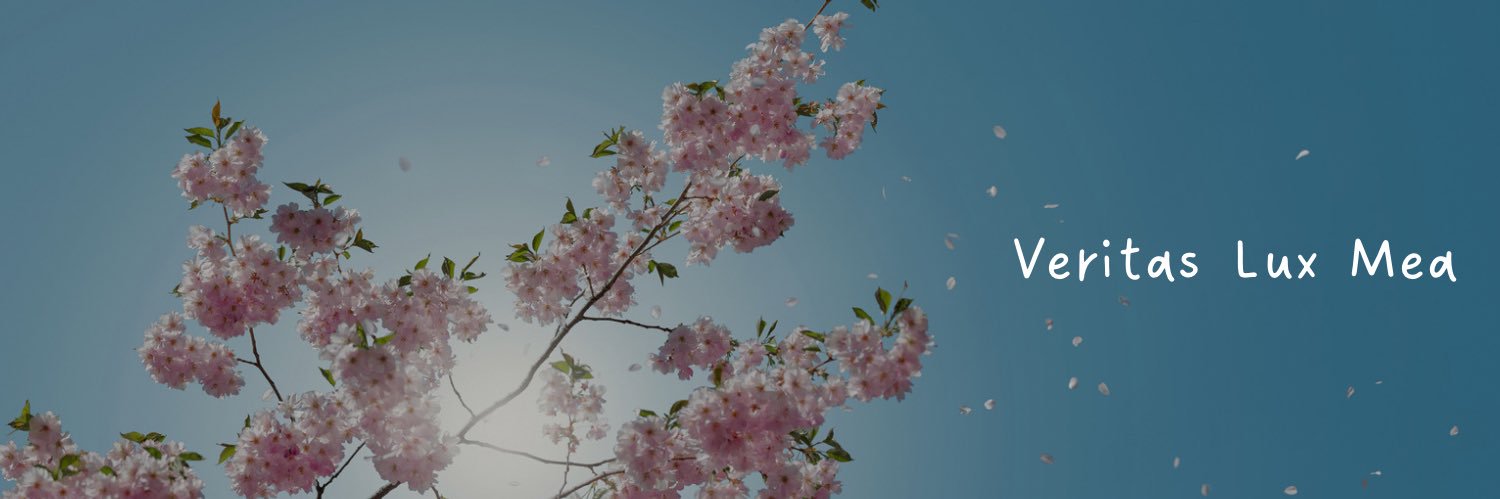Carolineadv's profile banner image