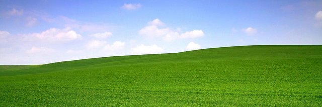 poyo45's profile banner image