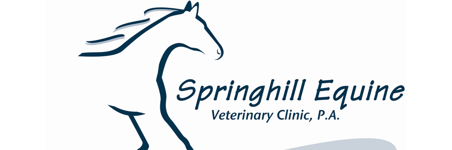 SpringhillEq's profile banner image