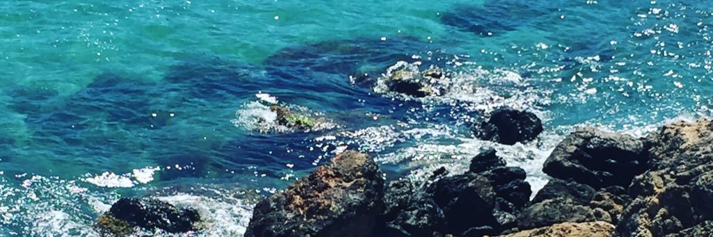 NadiaReevesLong's profile banner image
