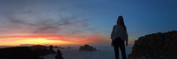 Monicalastraa's profile banner image